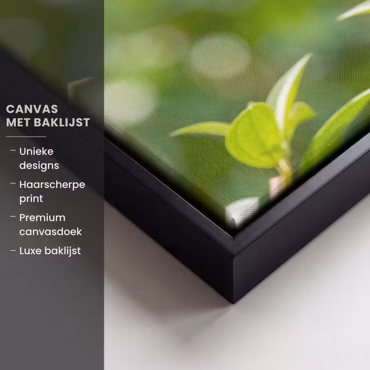 Canvas met lijst - Kolibrie - Bloem - Natuur - Groen — 5