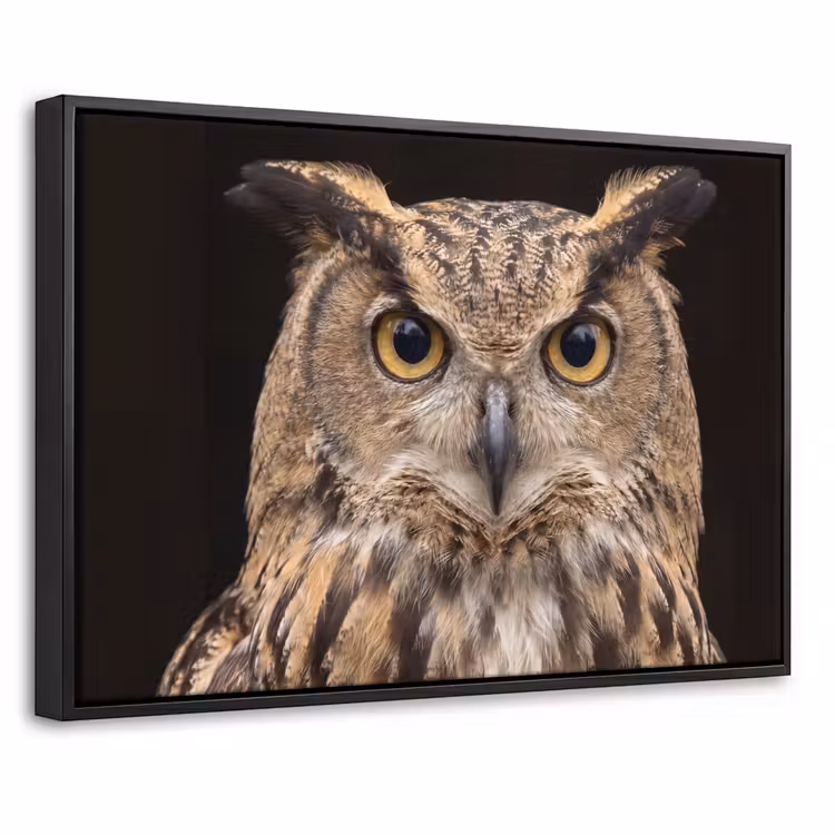 Canvas met lijst - Oehoe - Uil - Portret - Bruin — 1