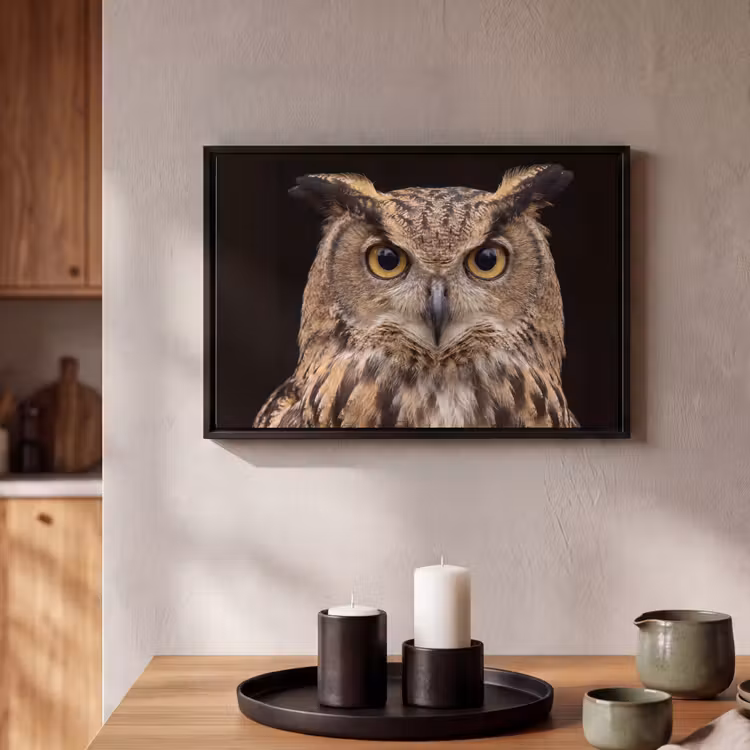 Canvas met lijst - Oehoe - Uil - Portret - Bruin — 2