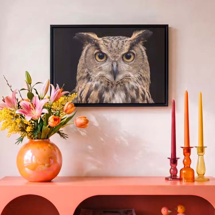 Canvas met lijst - Oehoe - Uil - Portret - Bruin — 4