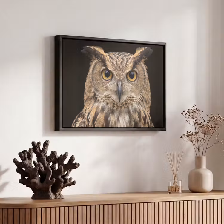 Canvas met lijst - Oehoe - Uil - Portret - Bruin — 6