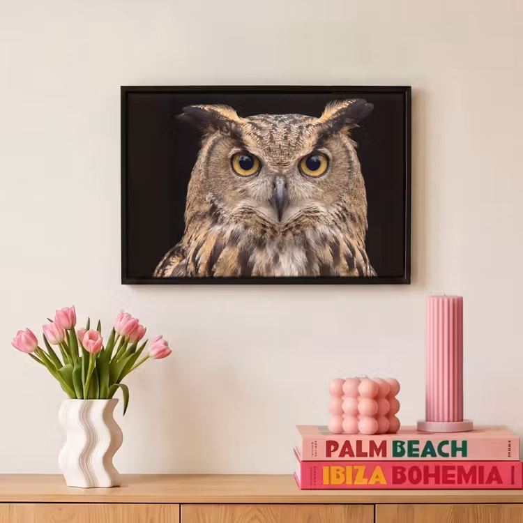 Canvas met lijst - Oehoe - Uil - Portret - Bruin — 8