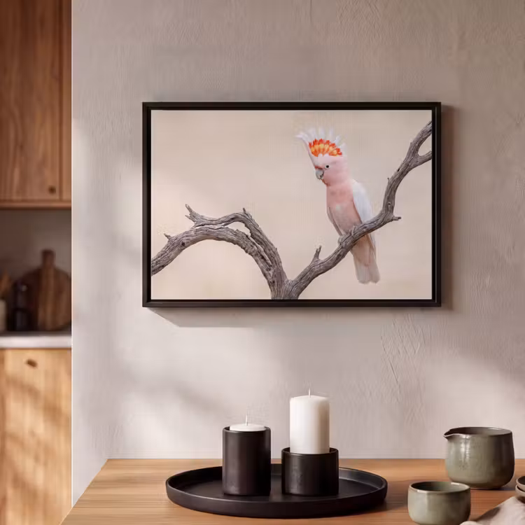 Canvas met lijst - Papagaai - Tak - Roze — 2