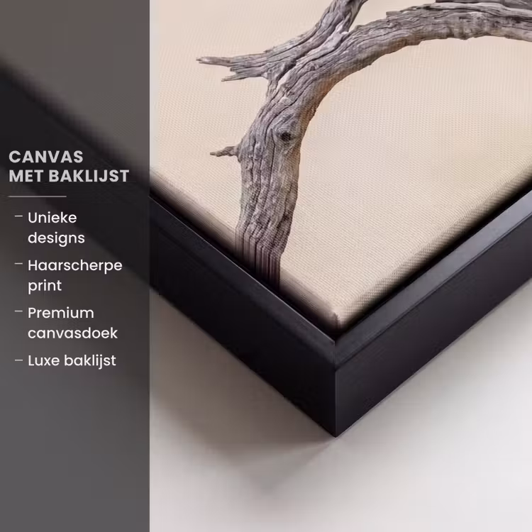 Canvas met lijst - Papagaai - Tak - Roze — 5