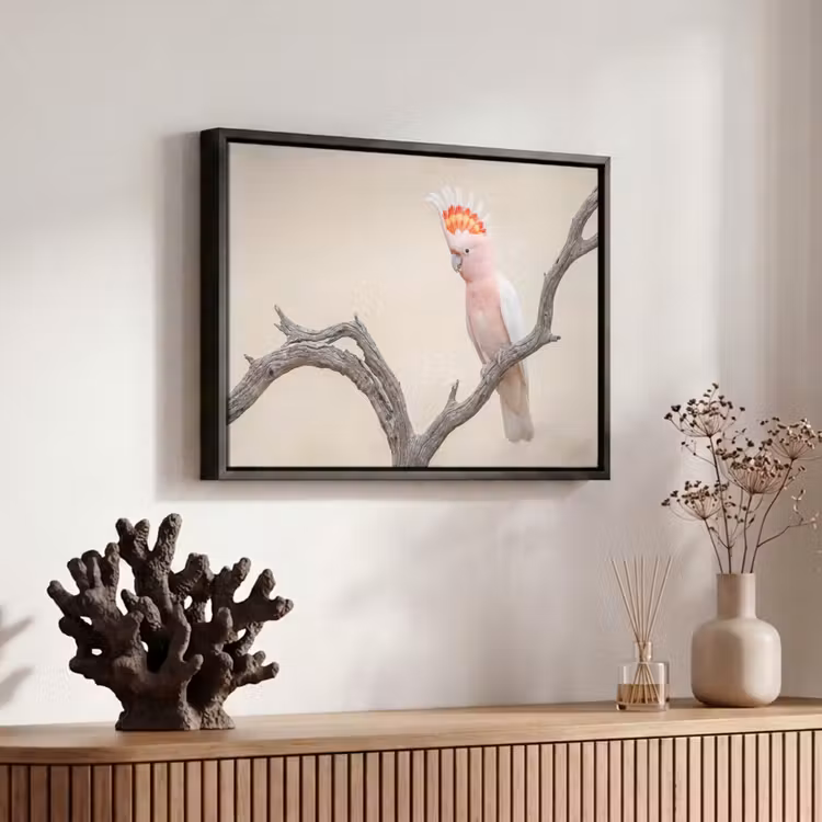 Canvas met lijst - Papagaai - Tak - Roze — 6