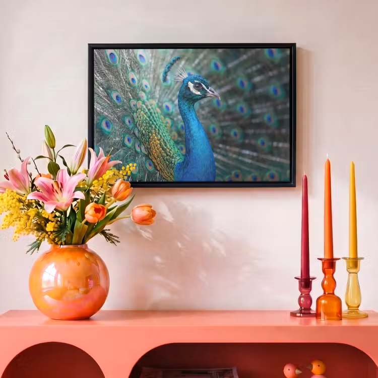 Canvas met lijst - Pauw - Veren - Blauw — 4