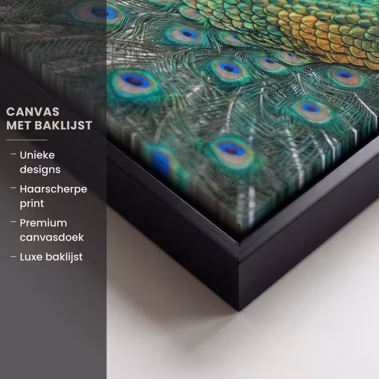 Canvas met lijst - Pauw - Veren - Blauw — 5