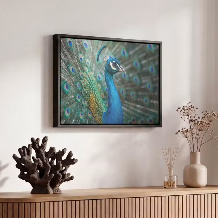 Canvas met lijst - Pauw - Veren - Blauw — 6