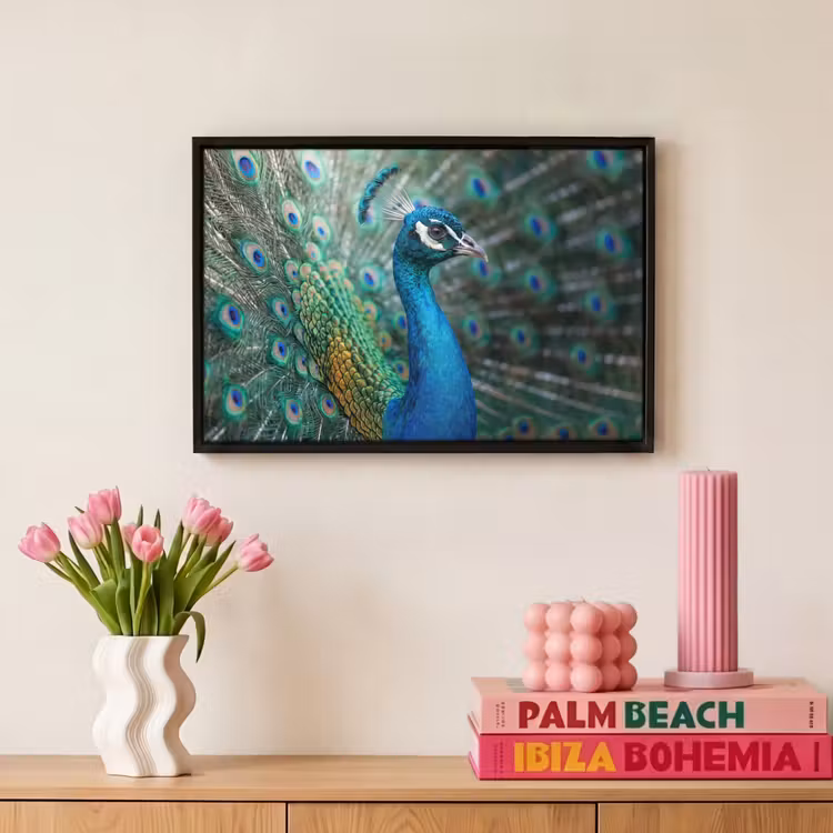 Canvas met lijst - Pauw - Veren - Blauw — 8