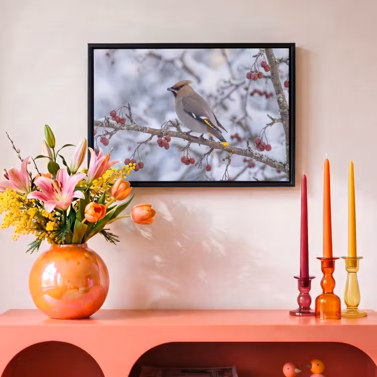 Canvas met lijst - Pestvogel - Bessen - Winter - Natuur — 4