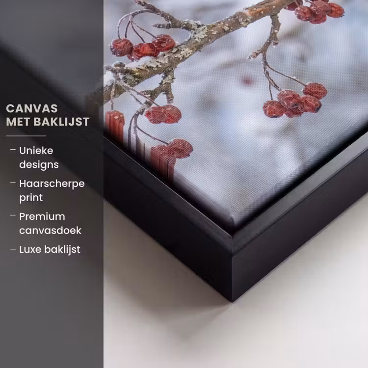 Canvas met lijst - Pestvogel - Bessen - Winter - Natuur — 5