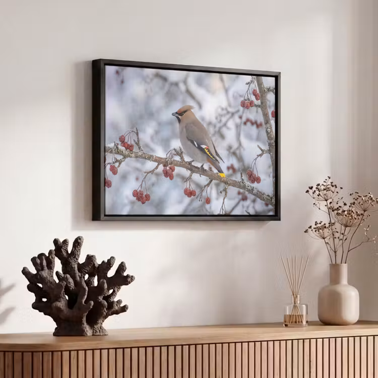 Canvas met lijst - Pestvogel - Bessen - Winter - Natuur — 6