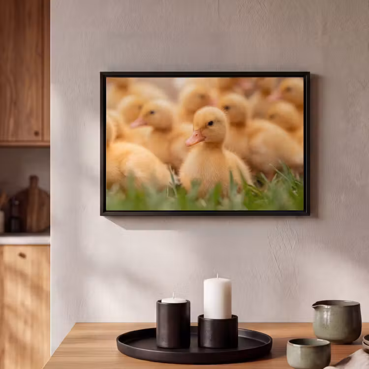 Canvas met lijst - Pijltje - Eend - Natuur - Geel — 2