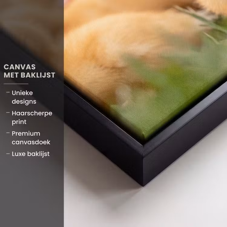 Canvas met lijst - Pijltje - Eend - Natuur - Geel — 5