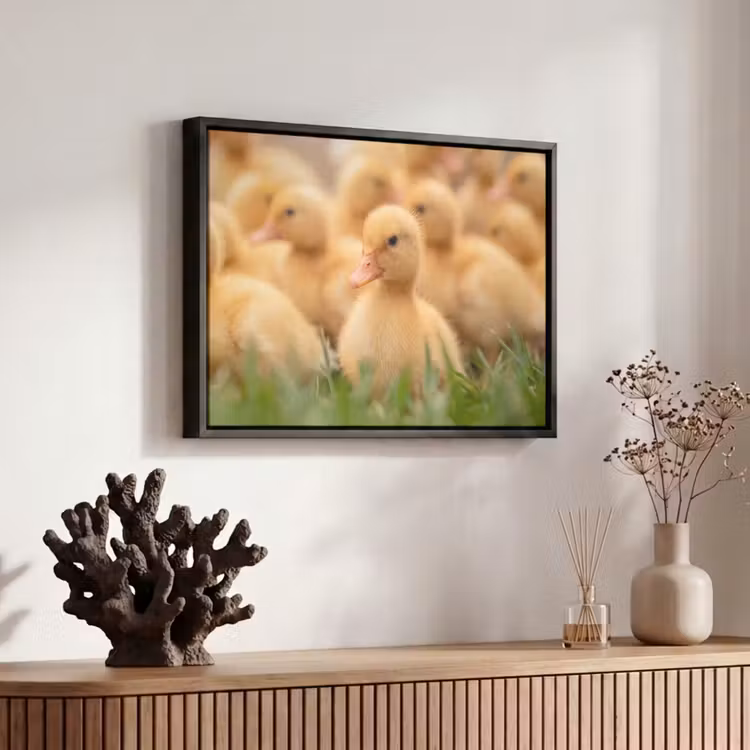Canvas met lijst - Pijltje - Eend - Natuur - Geel — 6