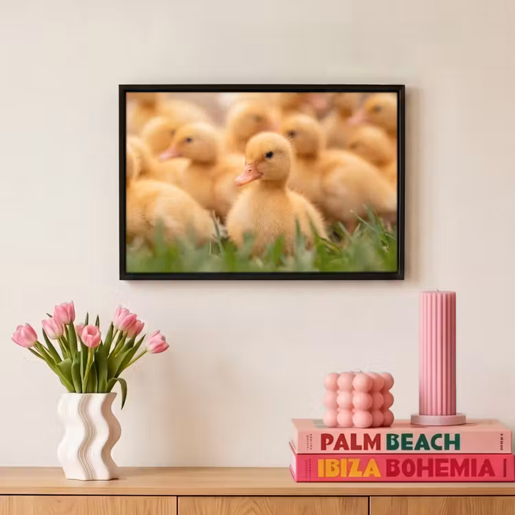 Canvas met lijst - Pijltje - Eend - Natuur - Geel — 8