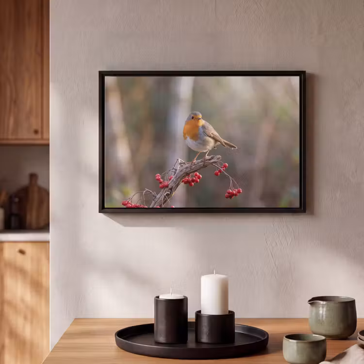 Canvas met lijst - Roodborst - Tak - Bessen - Natuur — 2