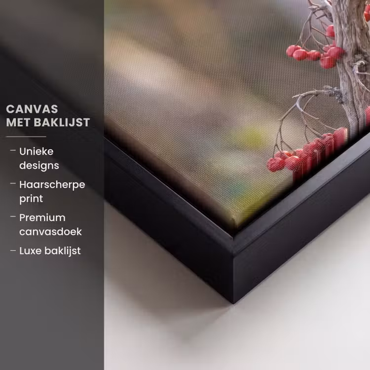 Canvas met lijst - Roodborst - Tak - Bessen - Natuur — 5