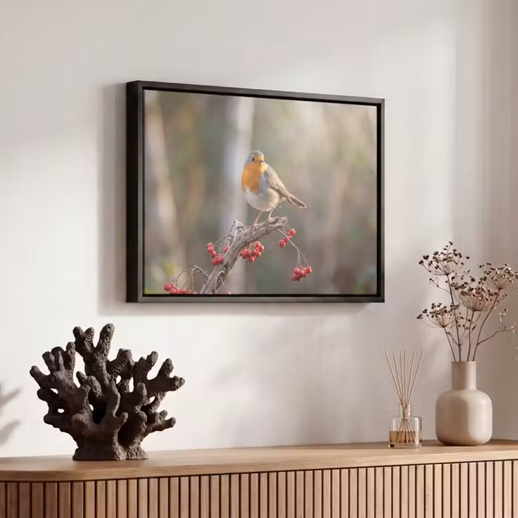 Canvas met lijst - Roodborst - Tak - Bessen - Natuur — 6
