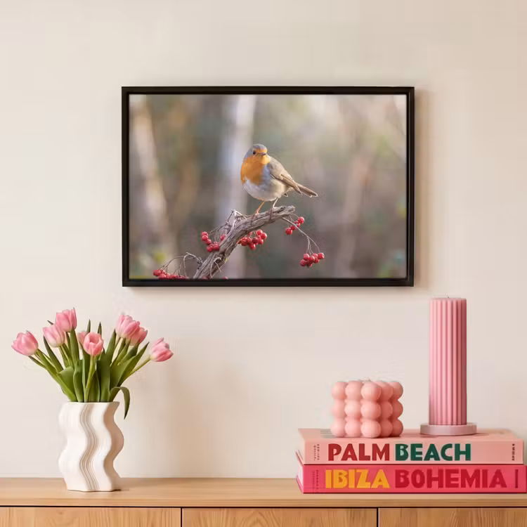 Canvas met lijst - Roodborst - Tak - Bessen - Natuur — 8