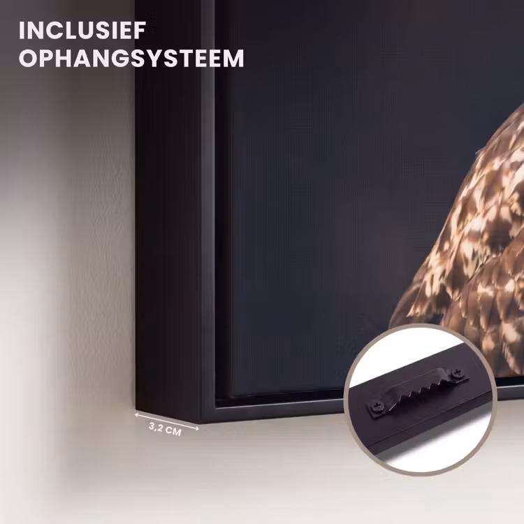 Canvas met lijst - Roofvogel - Buizerd - Bruin — 3