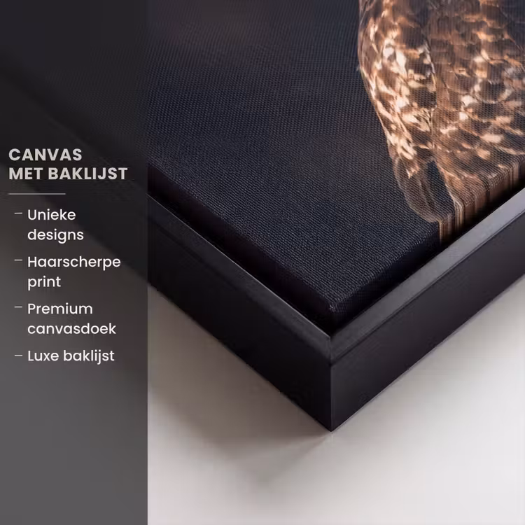 Canvas met lijst - Roofvogel - Buizerd - Bruin — 5