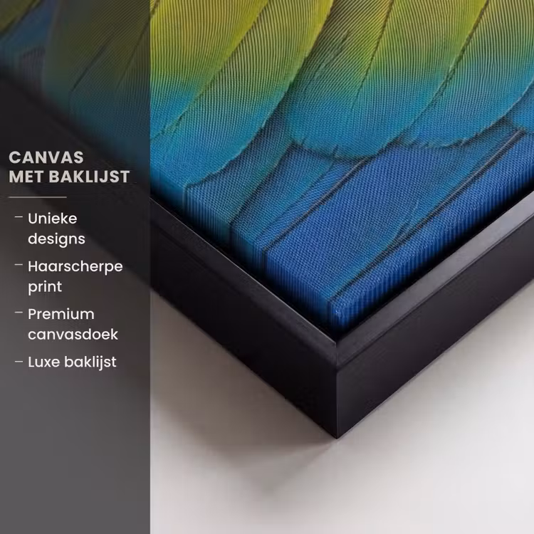 Canvas met lijst - Veren - Ara - Kleurrijk — 5