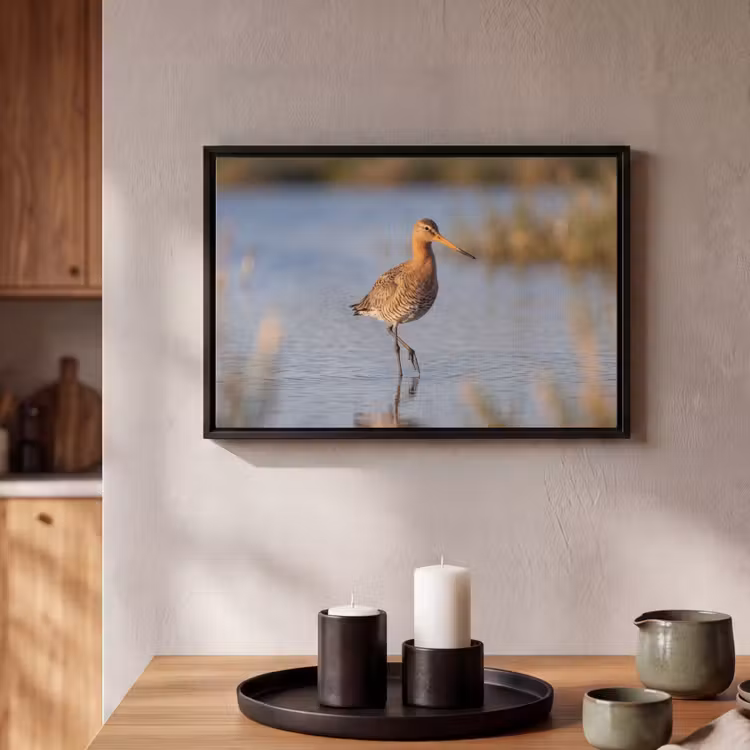 Canvas met lijst - Vogel - Steltloper - Water - Natuur — 2