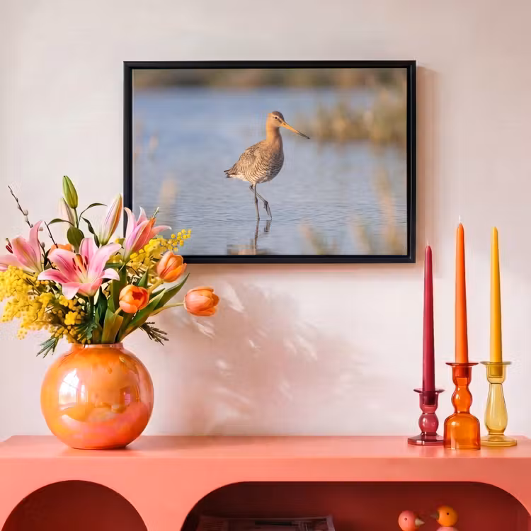 Canvas met lijst - Vogel - Steltloper - Water - Natuur — 4