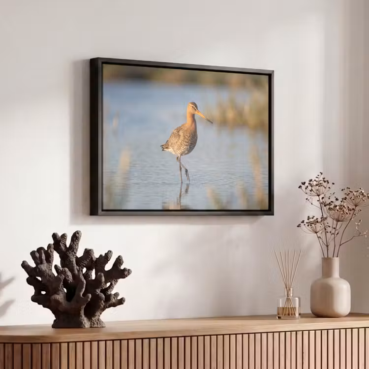 Canvas met lijst - Vogel - Steltloper - Water - Natuur — 6
