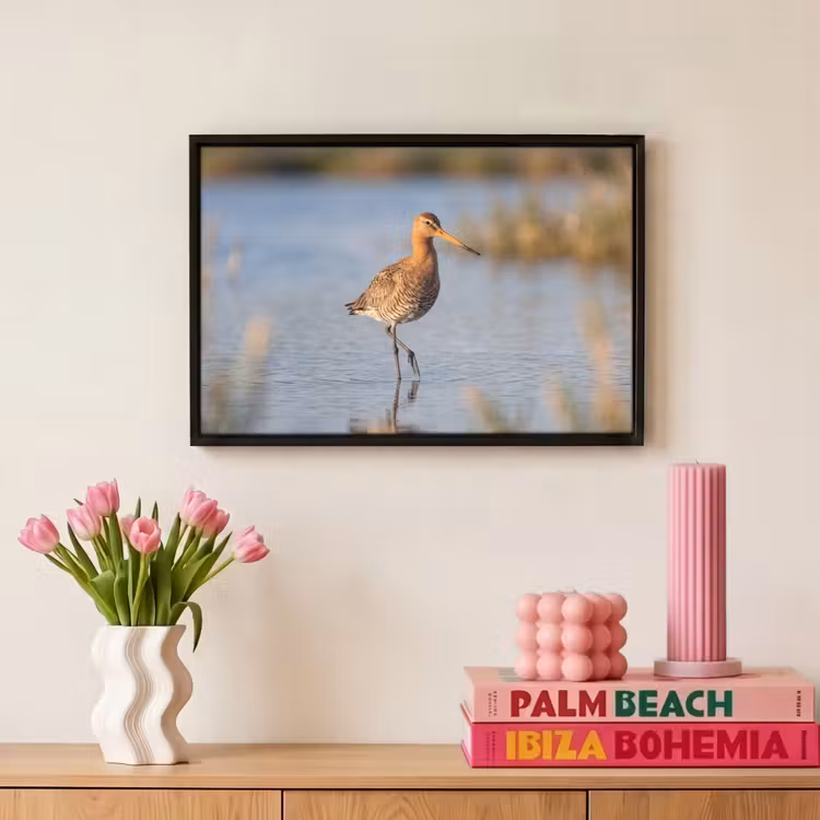 Canvas met lijst - Vogel - Steltloper - Water - Natuur — 8