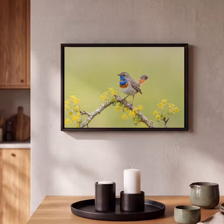 Canvas met lijst - Vogel - Tak - Natuur - Kleurrijk — 2