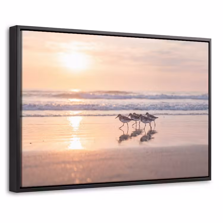 Canvas met lijst - Zee - Vogels - Strand — 1
