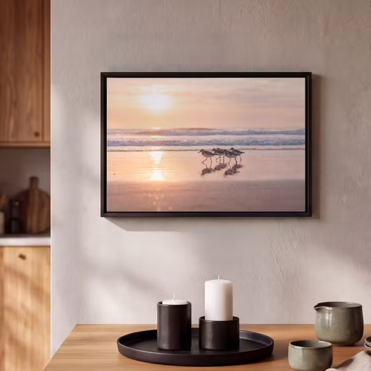 Canvas met lijst - Zee - Vogels - Strand — 2