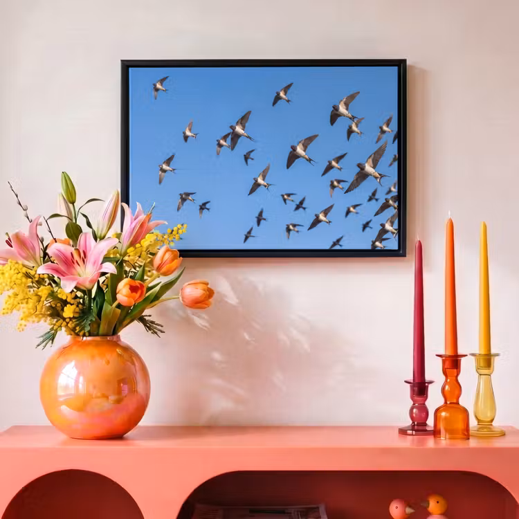 Canvas met lijst - Zwaluwen - Vliegen - Blauw — 4