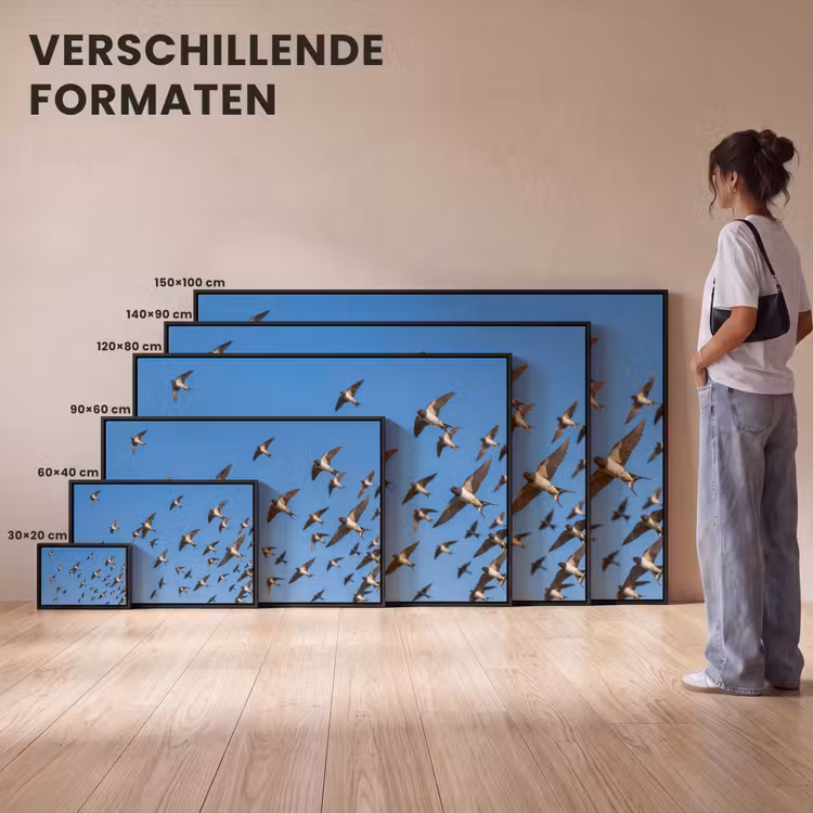 Canvas met lijst - Zwaluwen - Vliegen - Blauw — 7