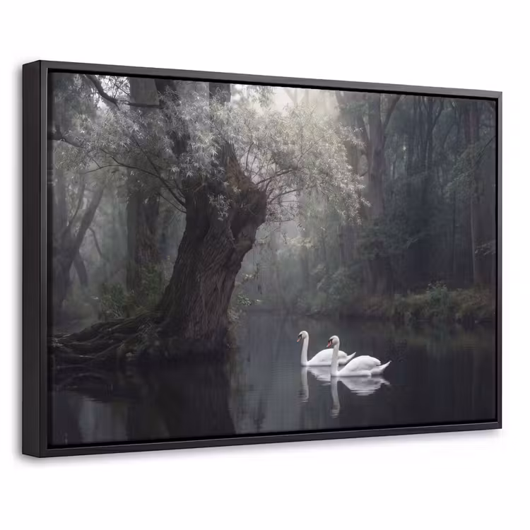 Canvas met lijst - Zwanen - Rivier - Bos — 1