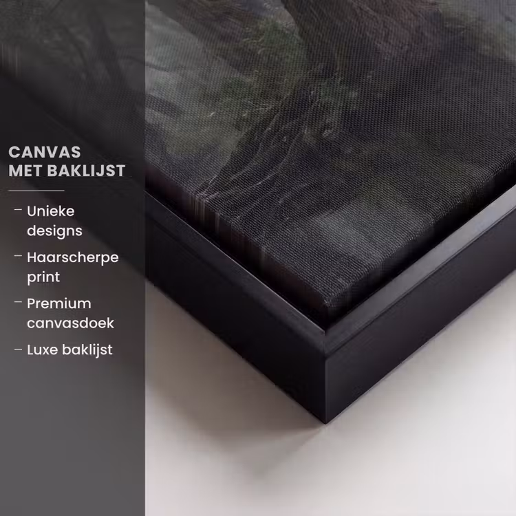 Canvas met lijst - Zwanen - Rivier - Bos — 5