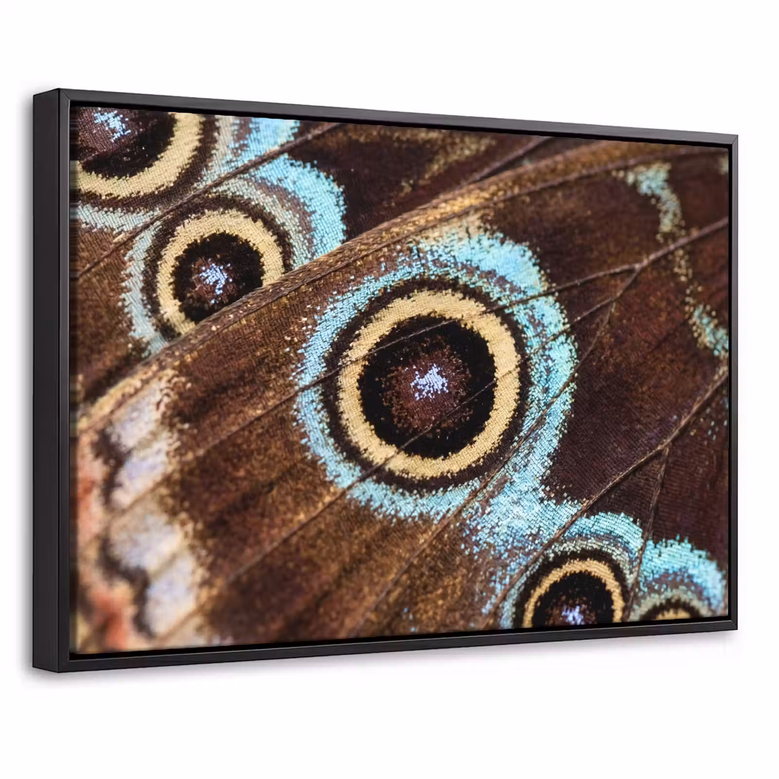 Canvas met lijst - Vleugels - Vlinder - Blauw — 1