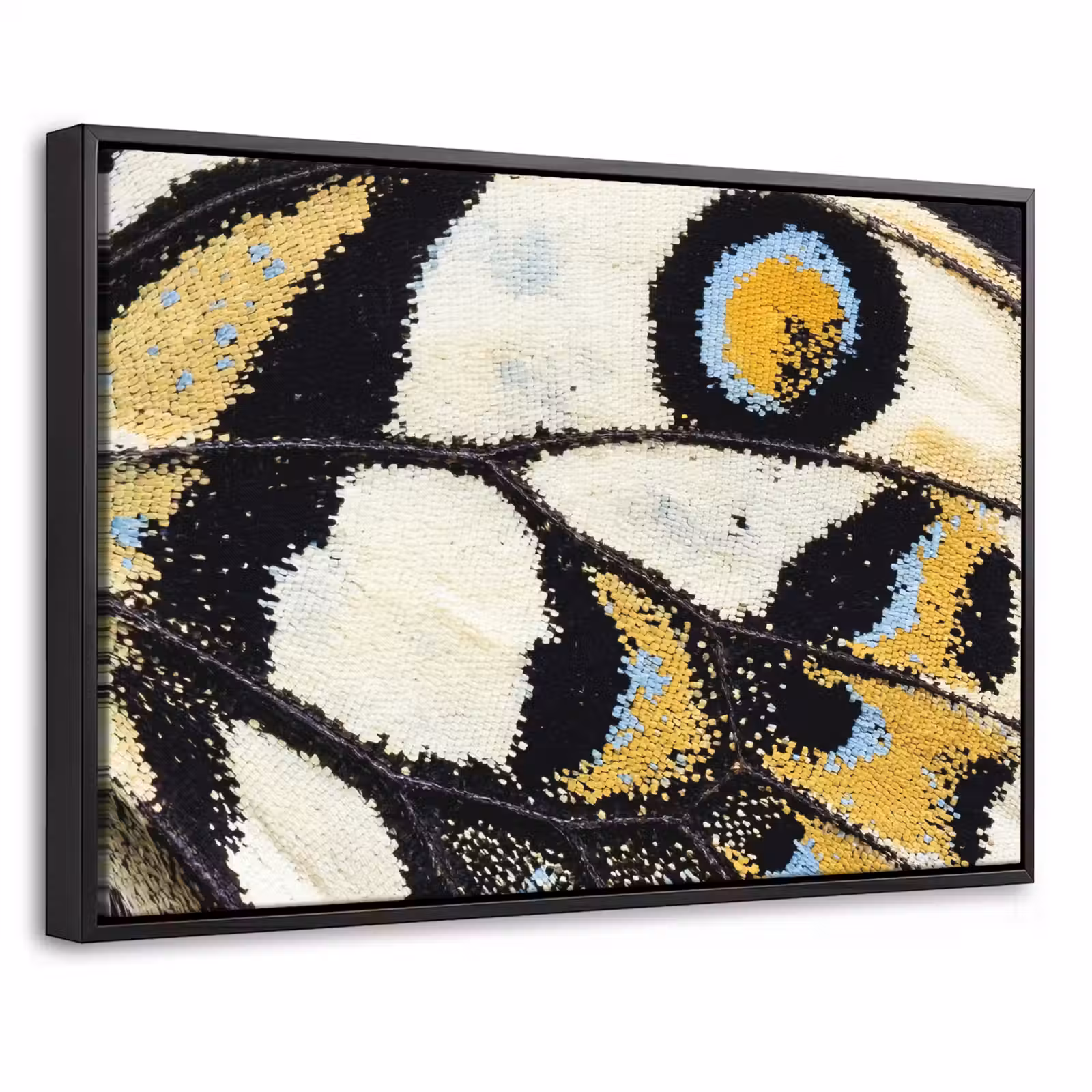 Canvas met lijst - Vlinder - Vleugel - Geel — 1