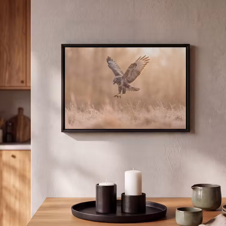Canvas met lijst - Buizerd - Roofvogel - Natuur - Bruin — 2