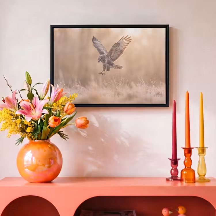 Canvas met lijst - Buizerd - Roofvogel - Natuur - Bruin — 4