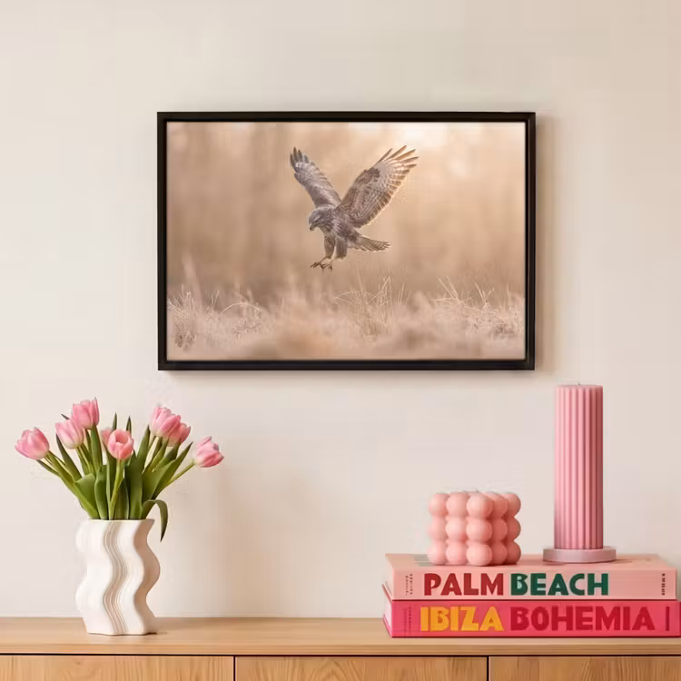 Canvas met lijst - Buizerd - Roofvogel - Natuur - Bruin — 8