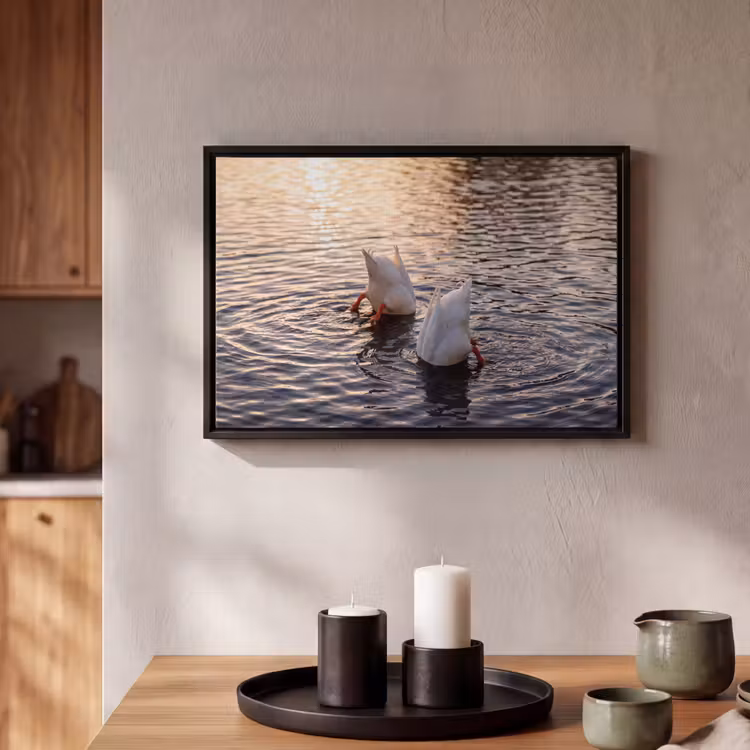 Canvas met lijst - Eenden - Water - Natuur — 2