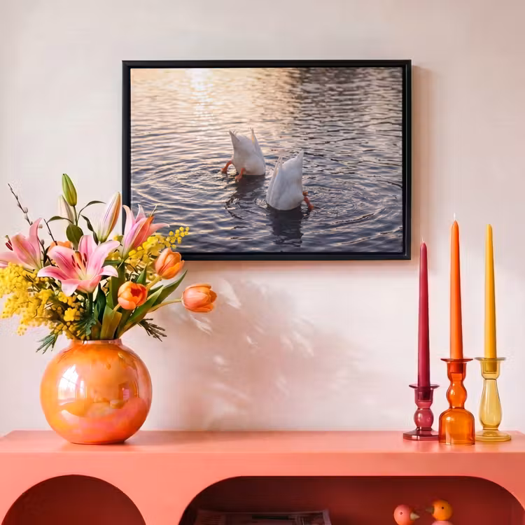 Canvas met lijst - Eenden - Water - Natuur — 4