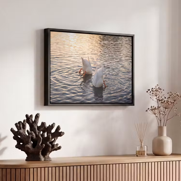 Canvas met lijst - Eenden - Water - Natuur — 6