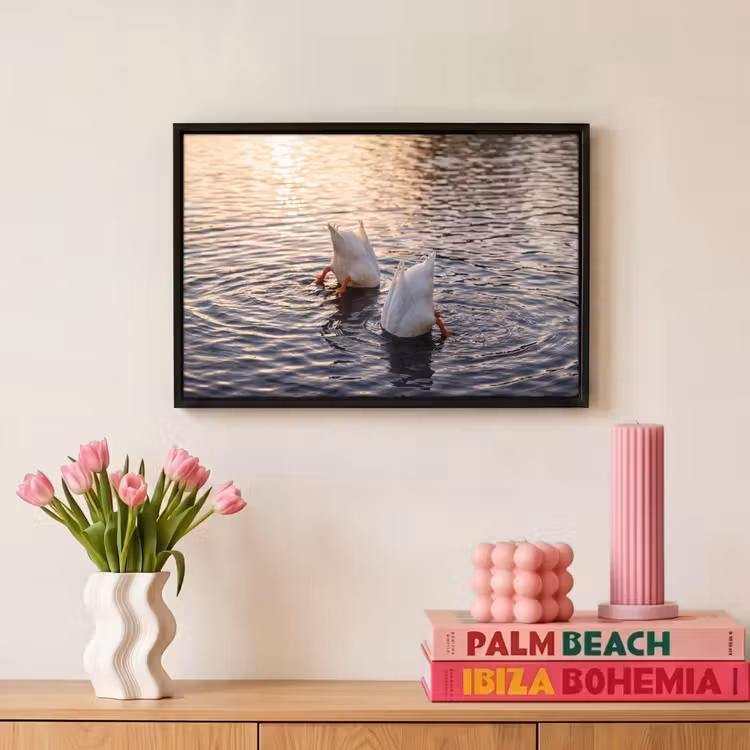 Canvas met lijst - Eenden - Water - Natuur — 8