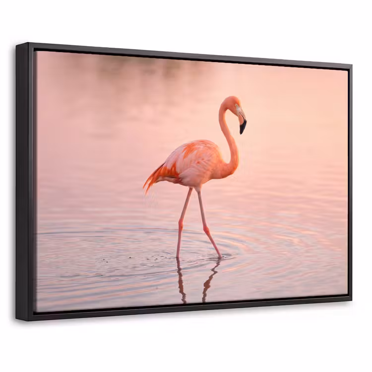 Canvas met lijst - Flamingo - Water - Roze — 1