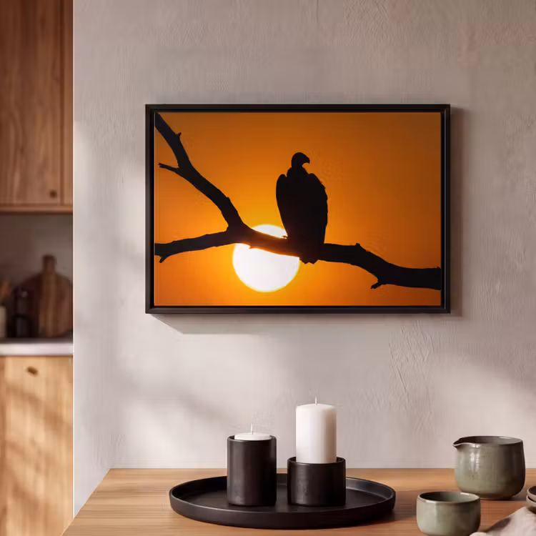 Canvas met lijst - Gier - Tak - Zon - Oranje — 2