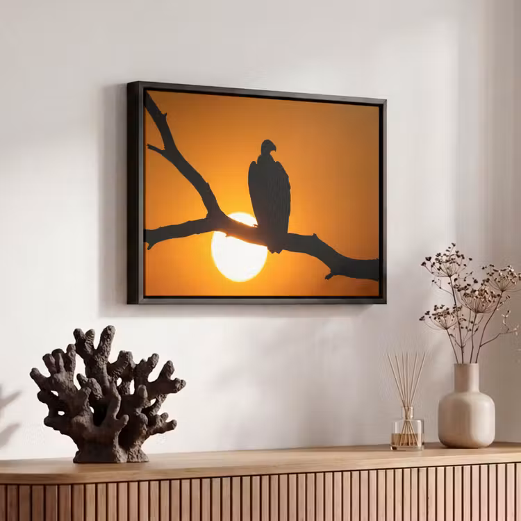 Canvas met lijst - Gier - Tak - Zon - Oranje — 6